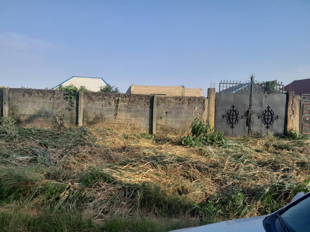 WhatsApp Image 2023-08-16 at 11.34.47